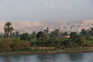 Fototapeta na wymiar エジプト　ナイル川の風景