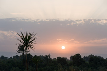 ナイル川の夕焼け