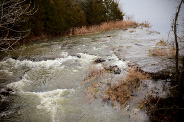 Creek Flooding