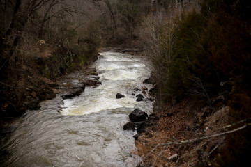 Creek Flooding