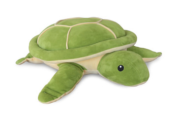 Green turtle doll isolated on white background with clipping path.