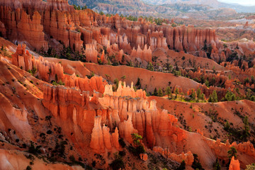 Utah / USA - August 22, 2015: View of colorful Hoodoo and rock formation detail at Sunset Point in...