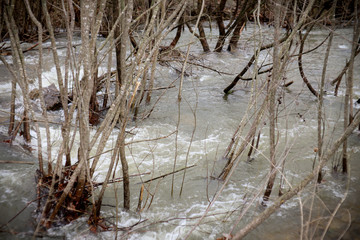 Creek Flooding