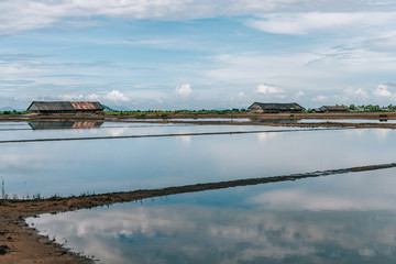 Fototapeta premium Salt planes in Kampot, Cambodia 