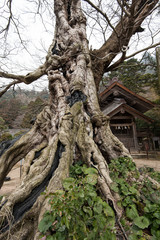 出雲大社　命主社