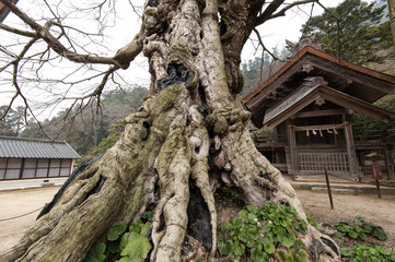 出雲大社　命主社
