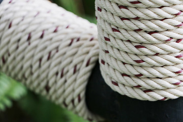 Close up detail of white rope in garden