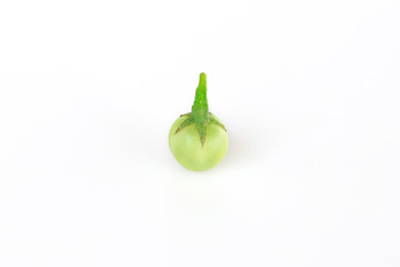 Close up turkey berry or Pea eggplant  isolated on white background.