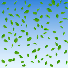 Falling green leaves. Fresh tea chaotic leaves fly