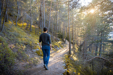 Young man seen from the back walking through the mountain in jeans and a ray of sunshine through the trees.