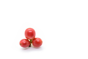Coffee berries on white background.