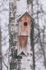 Birdhouse on the tree. Wooden house for birds on a birch