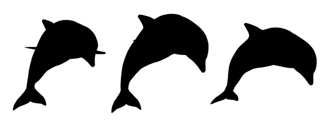 Silhouette mit drei springenden Delfinen © Michael Rosskothen