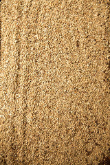 Raw coffee beans background