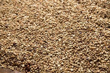 Raw coffee beans background