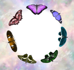 Seven Chakra Coloured Butterfly Healing Circle Border - 7 different species of butterfly arranged in a circle with a white centre for messages and pale coloured ethereal border frame    © Nikki Zalewski