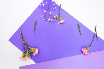 delicate and original composition of flowers on a purple background