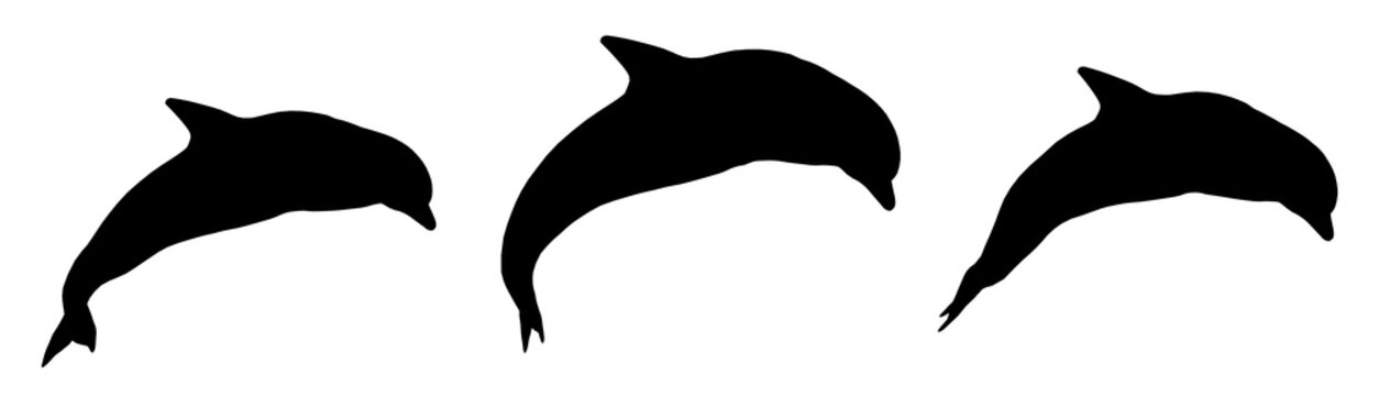 Silhouette mit drei springenden Delfinen