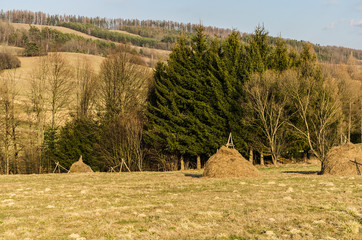 Pole i kopy siana  © wedrownik52