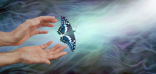 Releasing a butterfly into the light  - soul release metaphor - female hands appearing to let go of...