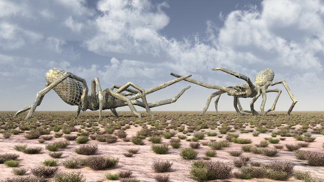 Zwei monströse Spinnen in einer Landschaft
