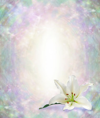 Funeral Wake Order of Service Lily Background - white lily head in bottom right corner against a...