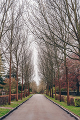 path in a Copenhagen park