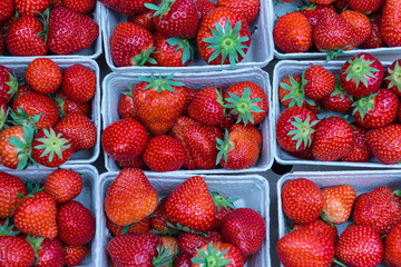 strawberries in a box at market stand