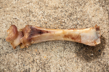 Smoked and marinated beef leg bone dog toy snack on isolated,Animal boneson the ground.