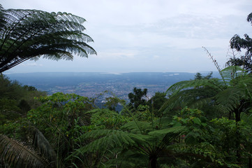 Fototapeta na wymiar Vue sur la ville de taiping depuis Bukit Larut, Malaisie