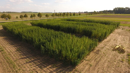 Fototapeta premium DCIM\100MEDIA\DJI_0448.JPG