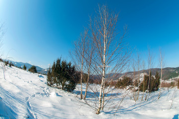 clearing in the winter mountains on a sunny day for outdoor activities and walks