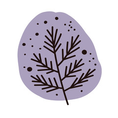 Plants and botanical illustrations on a white background. Pastel delicate colors. Vector floral set. Herbal Collection