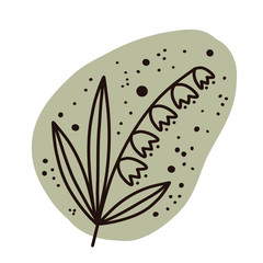 Plants and botanical illustrations on a white background. Pastel delicate colors. Vector floral set. Herbal Collection