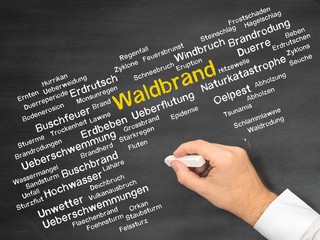 Waldbrand