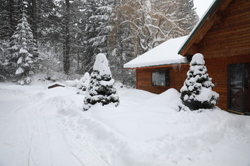 WInter snowy cabin house exterior with forest and pine trees and snow mobile tracks.