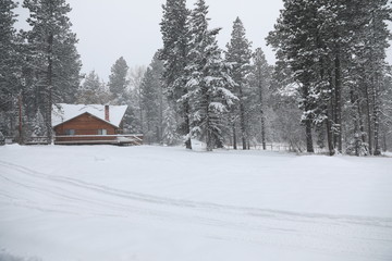 WInter snowy cabin house exterior with forest and pine trees and snow mobile tracks.