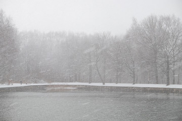 Pond in winter in with snow storm and trees.