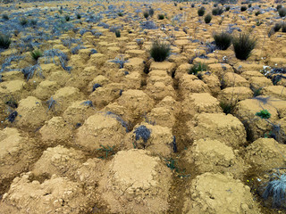 cracked earth, waterless world, the world should not be desert