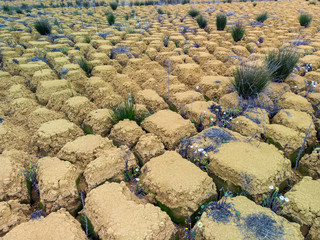 cracked earth, waterless world, the world should not be desert