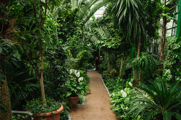 botanical garden in the summer is very beautiful in the open space