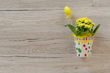 Fresh plant with yellow flowers in decorative colorful pot against wooden background