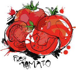 Fresh Tomato Sketch
