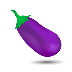 Figure ripe eggplant on white background. Vector illustration