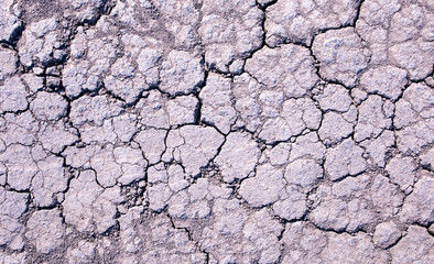 Dry ground texture closeup background