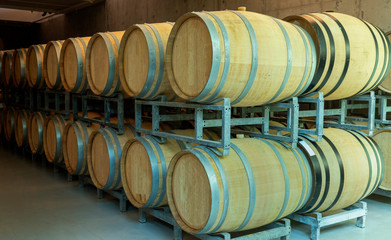 resting wooden barrels of wine in the wine cellar