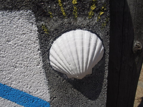 Scallop shell on the wall, Camino de Santiago, Way of St. James, Journey from Valenca to Cesantes, Portuguese way, Portugal