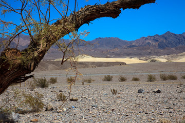 California / USA - August 22, 2015: The landscape in Death Valley National Park, California, USA