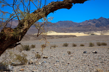 California / USA - August 22, 2015: The landscape in Death Valley National Park, California, USA
