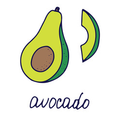 Hand drawn vector isolated food icon. Color fill illustration of tropical fruit. Avocado icon. 